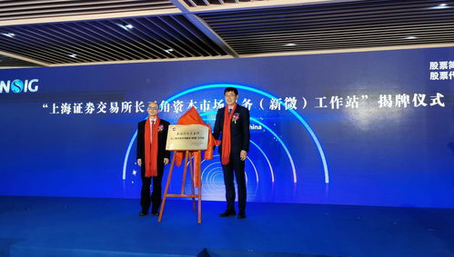 科技、資本與模式 上交所長(zhǎng)三角資本市場(chǎng)服務(wù)新微工作站揭牌與新沂互聯(lián)網(wǎng)信息服務(wù)展望