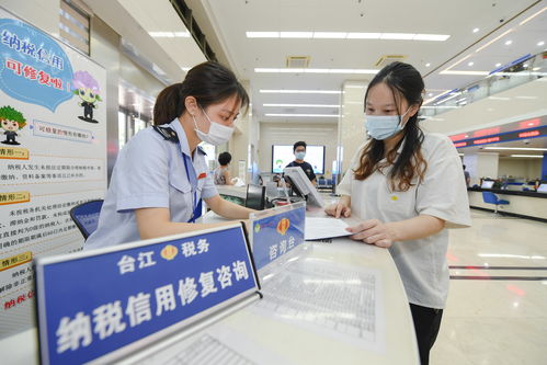 稅制科學(xué)辦理高效流程便捷 新沂互聯(lián)網(wǎng)游戲服務(wù)首次個(gè)稅匯算彰顯稅收治理能力提升